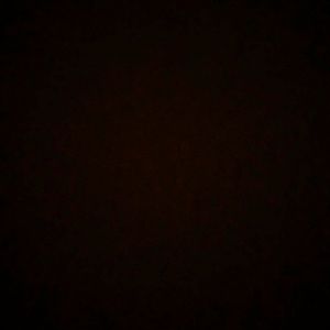 Meet your Posher, Anne